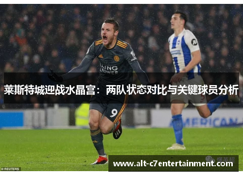 莱斯特城迎战水晶宫：两队状态对比与关键球员分析