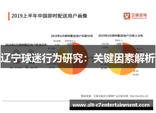 辽宁球迷行为研究:关键因素解析 辽宁球迷行为研究:关键因素解析