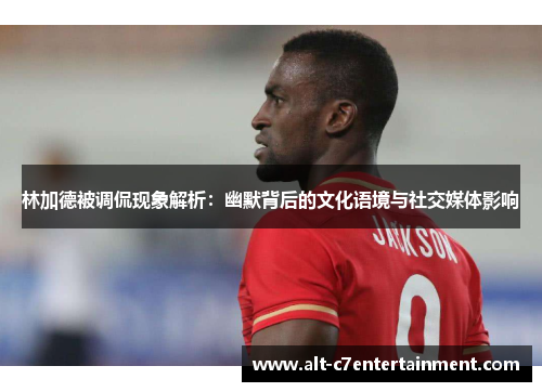 林加德被调侃现象解析：幽默背后的文化语境与社交媒体影响