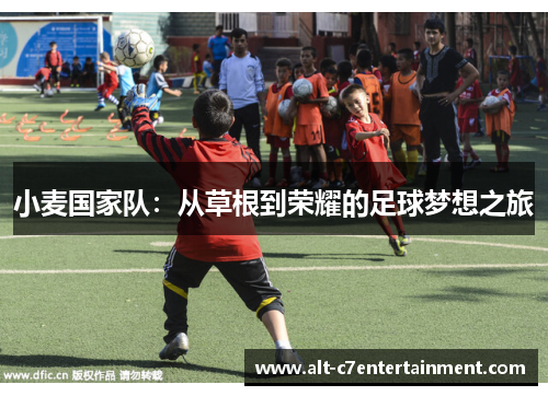小麦国家队：从草根到荣耀的足球梦想之旅