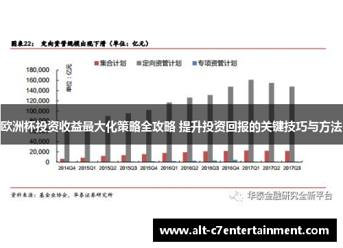 欧洲杯投资收益最大化策略全攻略 提升投资回报的关键技巧与方法