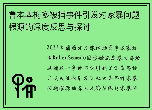 鲁本塞梅多被捕事件引发对家暴问题根源的深度反思与探讨